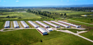 Omiljena puretina Vindon od sada u novom pakiranju Vindon