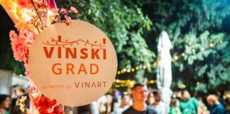 VINSKI GRAD